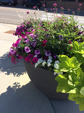 Planters Albert Lea